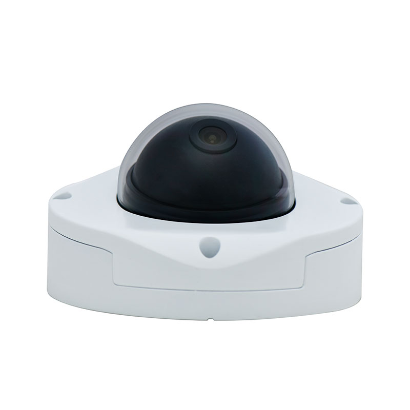 µ£¬µáçΘóÿ-1